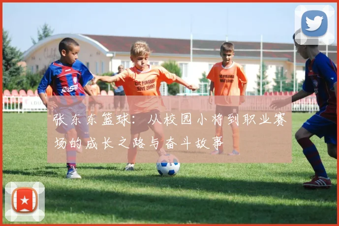 张东东篮球：从校园小将到职业赛场的成长之路与奋斗故事