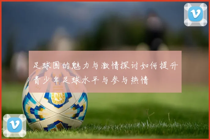 足球围的魅力与激情探讨如何提升青少年足球水平与参与热情