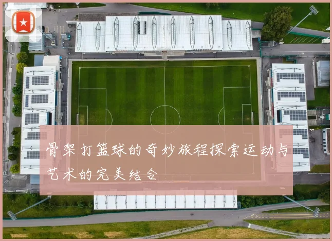 骨架打篮球的奇妙旅程探索运动与艺术的完美结合