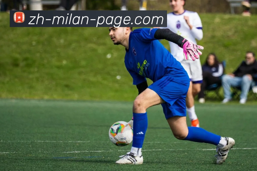 米兰体育平台生态图