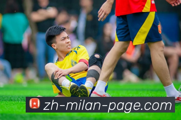 米兰体育APP 封面图